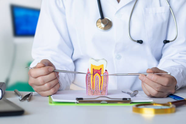Best Weekend Emergency Dental Services in Mclouth, KS